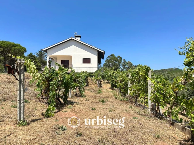 Moradia T3 para Venda em Buarcos Foto 76