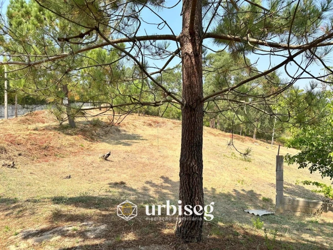 Moradia T3 para Venda em Buarcos Foto 49