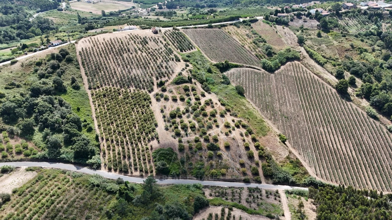 Terreno para Venda em Carvalhal Benfeito Foto 7