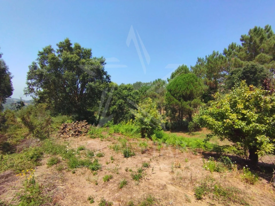 Terreno para Venda em Carvalhal Benfeito Foto 16