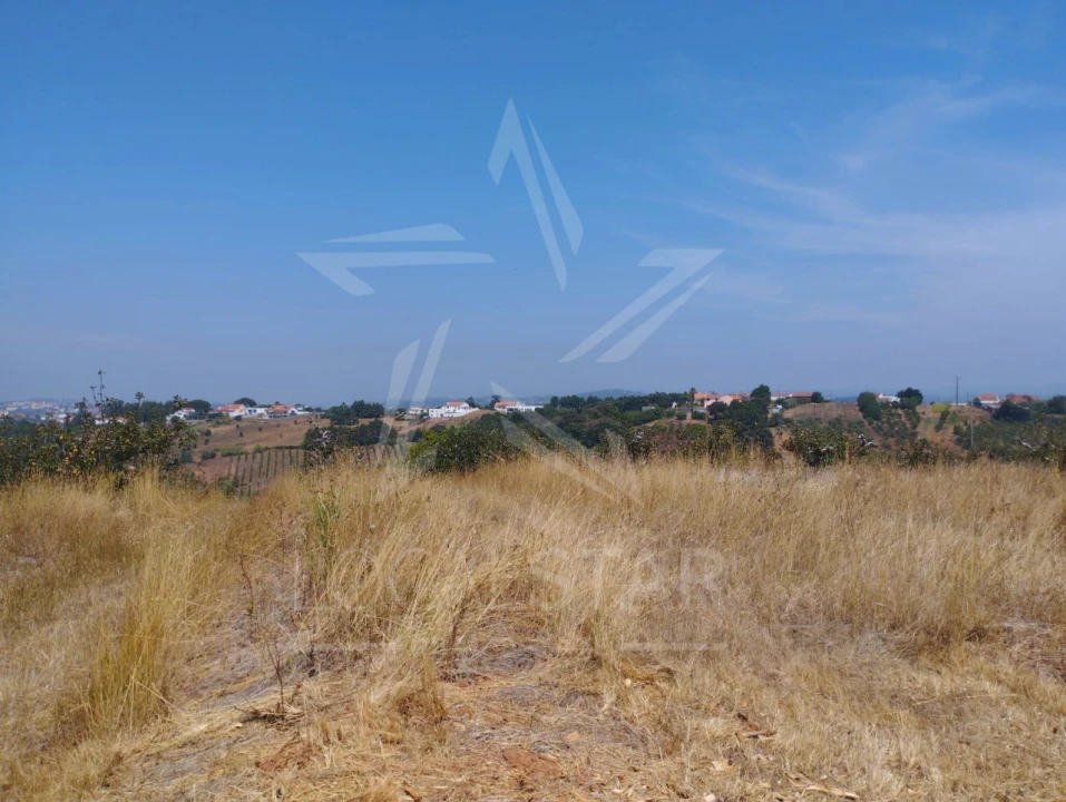 Terreno para Venda em Carvalhal Benfeito Foto 19