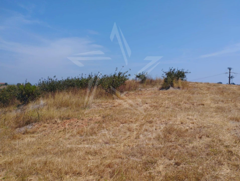 Terreno para Venda em Carvalhal Benfeito Foto 21