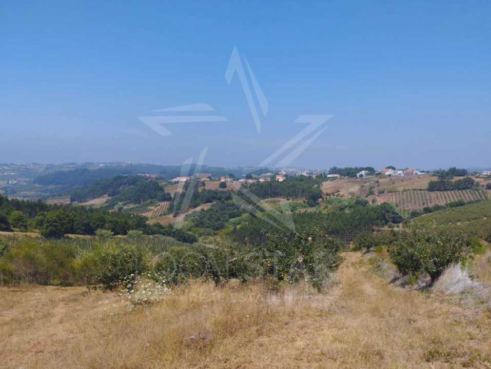 Terreno para Venda em Carvalhal Benfeito Foto 23