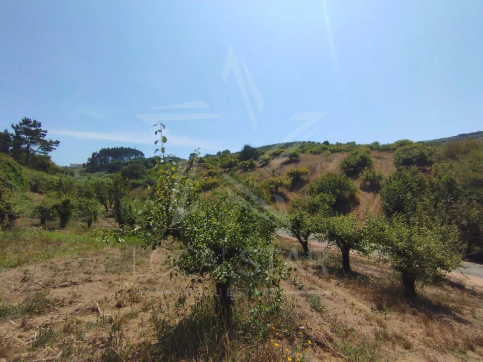 Terreno para Venda em Carvalhal Benfeito Foto 25