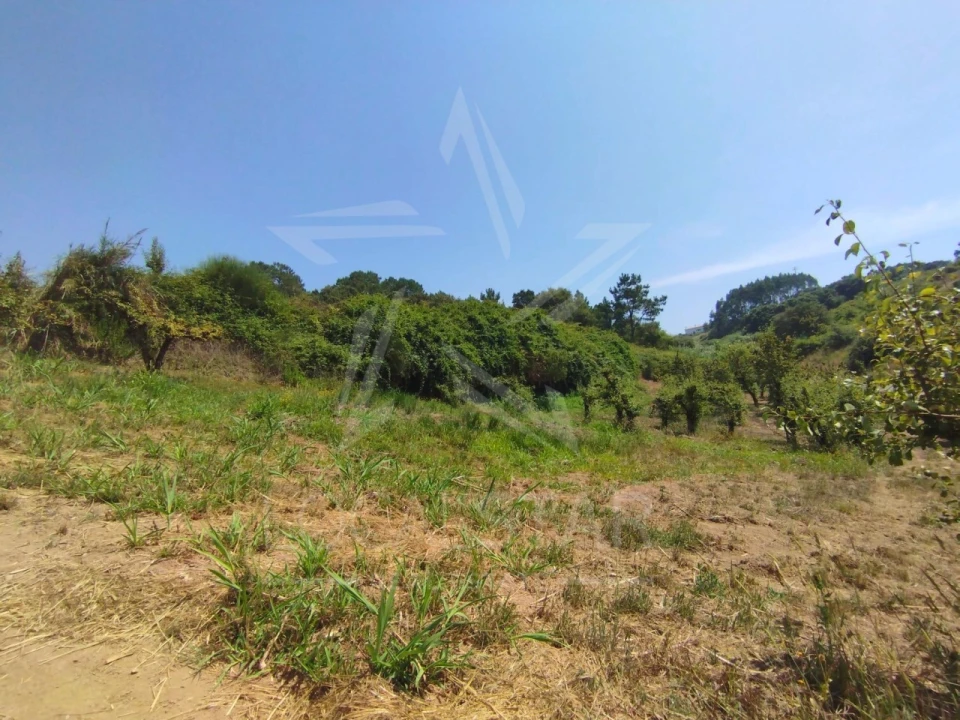 Terreno para Venda em Carvalhal Benfeito Foto 26