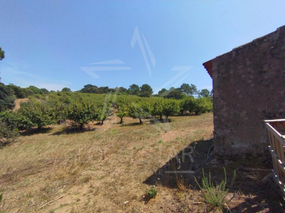 Terreno para Venda em Carvalhal Benfeito Foto 27
