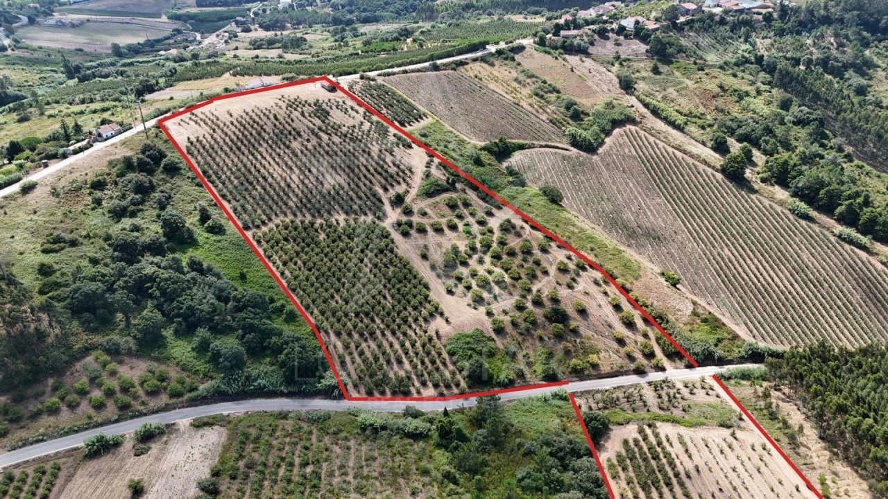 Terreno para Venda em Carvalhal Benfeito Foto 6