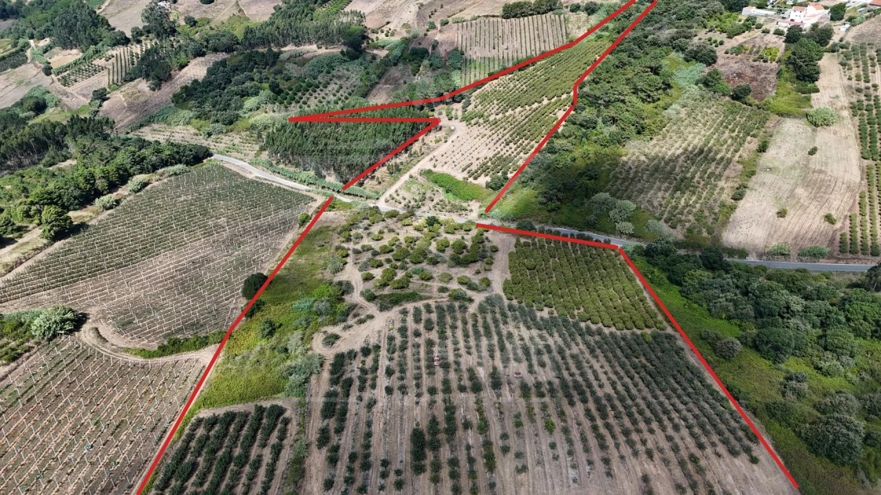 Terreno para Venda em Carvalhal Benfeito Foto 1