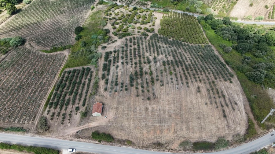Terreno para Venda em Carvalhal Benfeito Foto 10