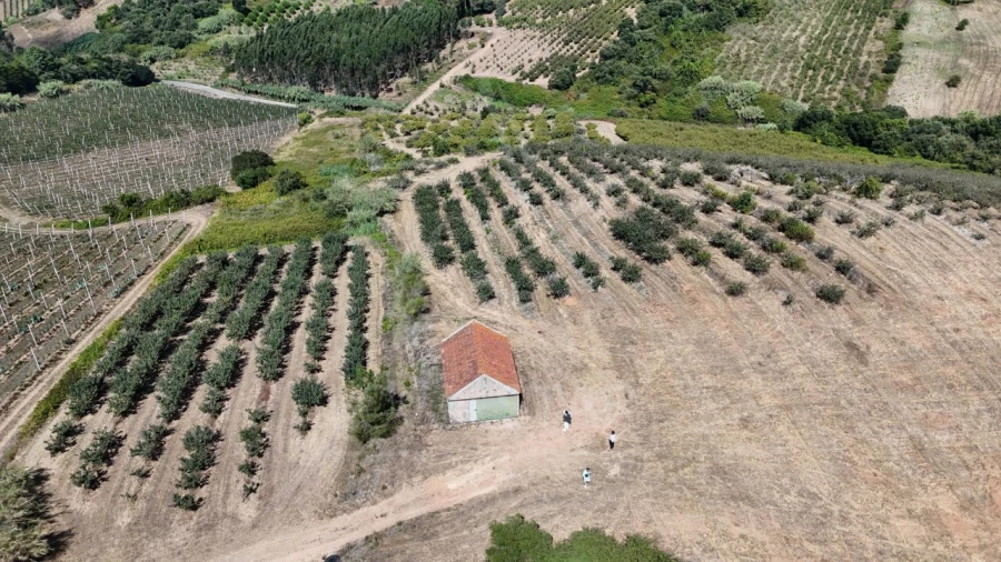 Terreno para Venda em Carvalhal Benfeito Foto 4