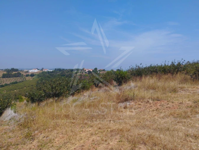 Terreno para Venda em Carvalhal Benfeito Foto 22