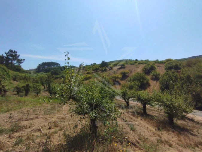 Terreno para Venda em Carvalhal Benfeito Foto 25