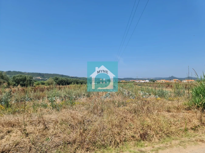 Terreno para Venda em Cela Foto 2