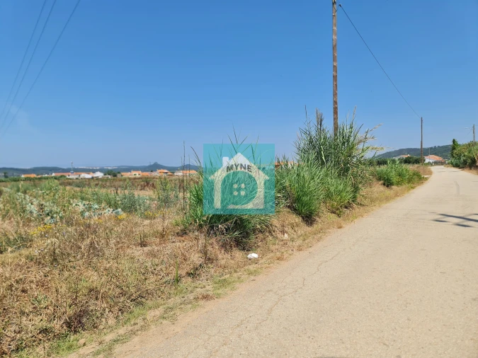 Terreno para Venda em Cela Foto 3