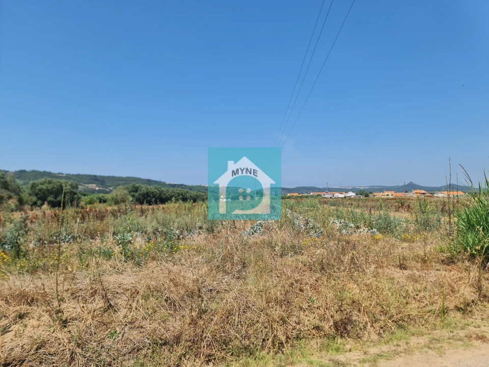 Terreno para Venda em Cela Foto 2
