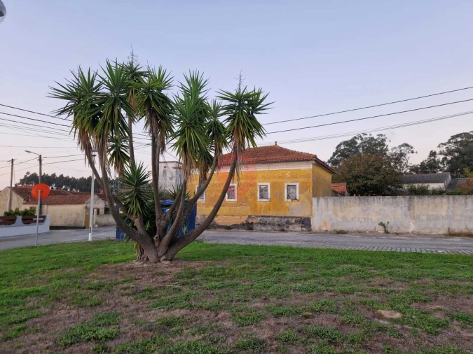 Moradia T2 para Venda em Bunheiro Foto 11