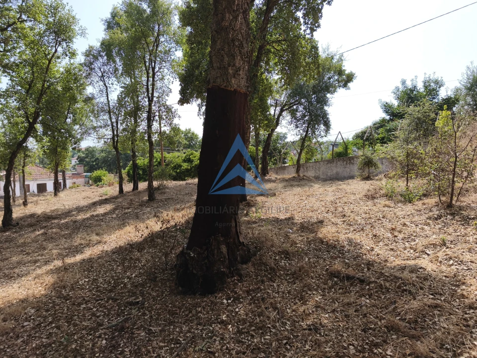 Terreno para Venda em Pedrogão Grande Foto 7
