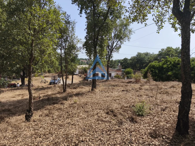 Terreno para Venda em Pedrogão Grande Foto 8