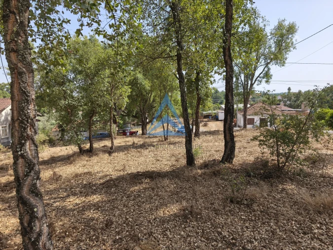 Terreno para Venda em Pedrogão Grande Foto 3