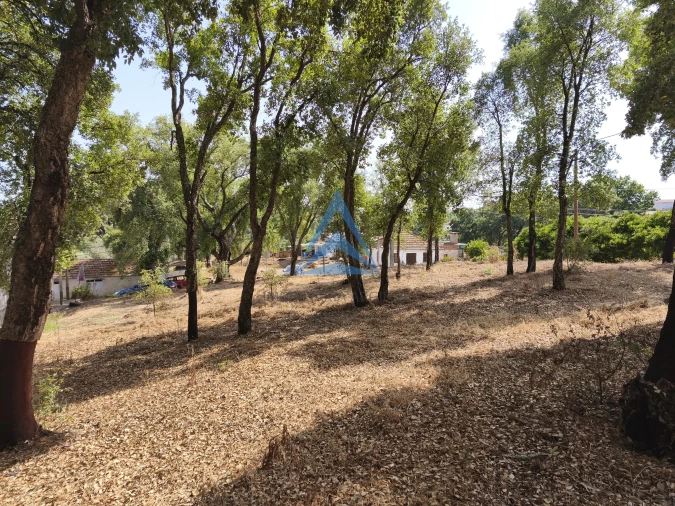 Terreno para Venda em Pedrogão Grande Foto 1