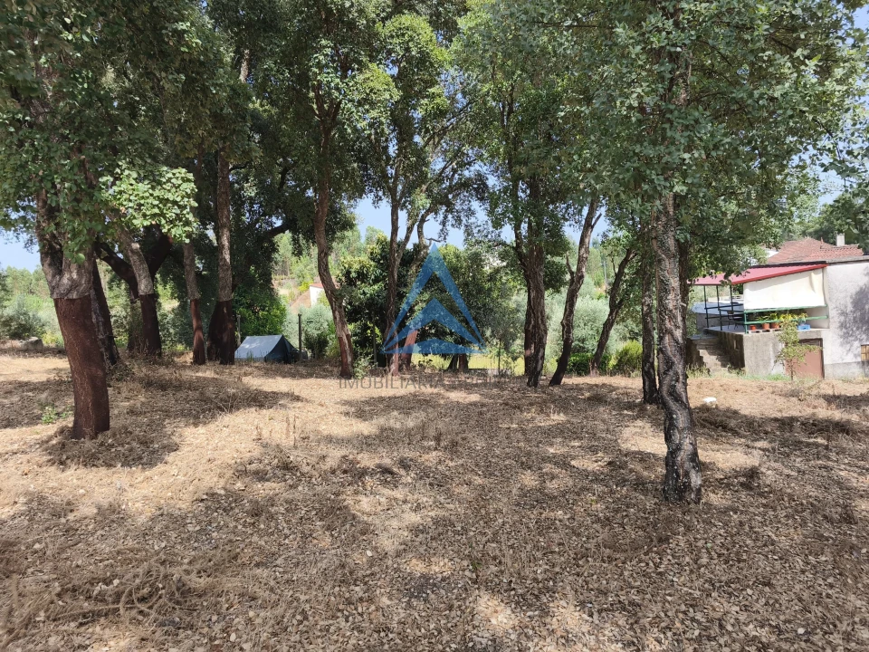 Terreno para Venda em Pedrogão Grande Foto 9