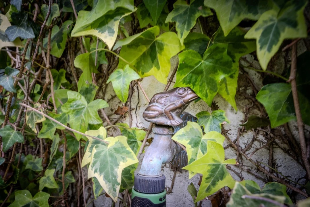 Moradia T4 para Venda em Milharado Foto 52