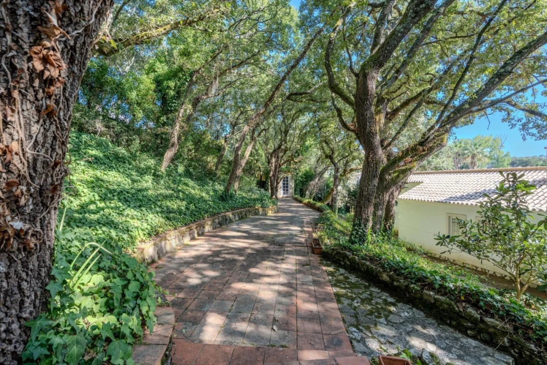 Moradia T4 para Venda em Milharado Foto 40