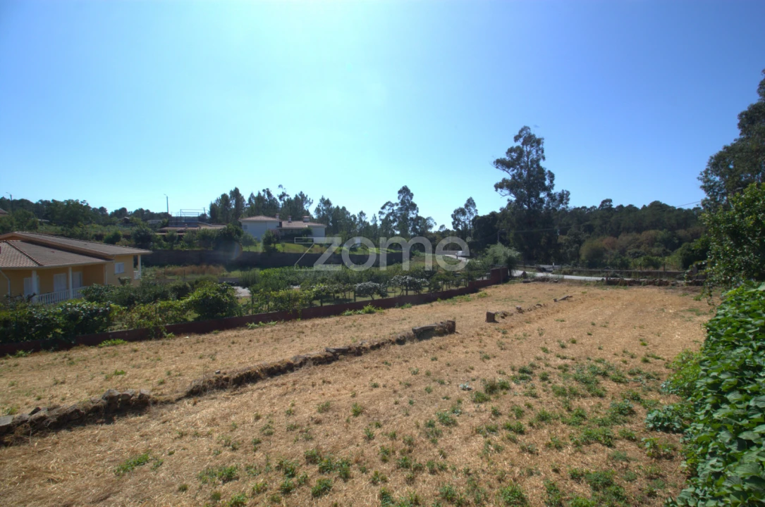 Terreno para Venda em Santo Tirso, Couto (Santa Cristina e São Miguel) e Burgães Foto 6