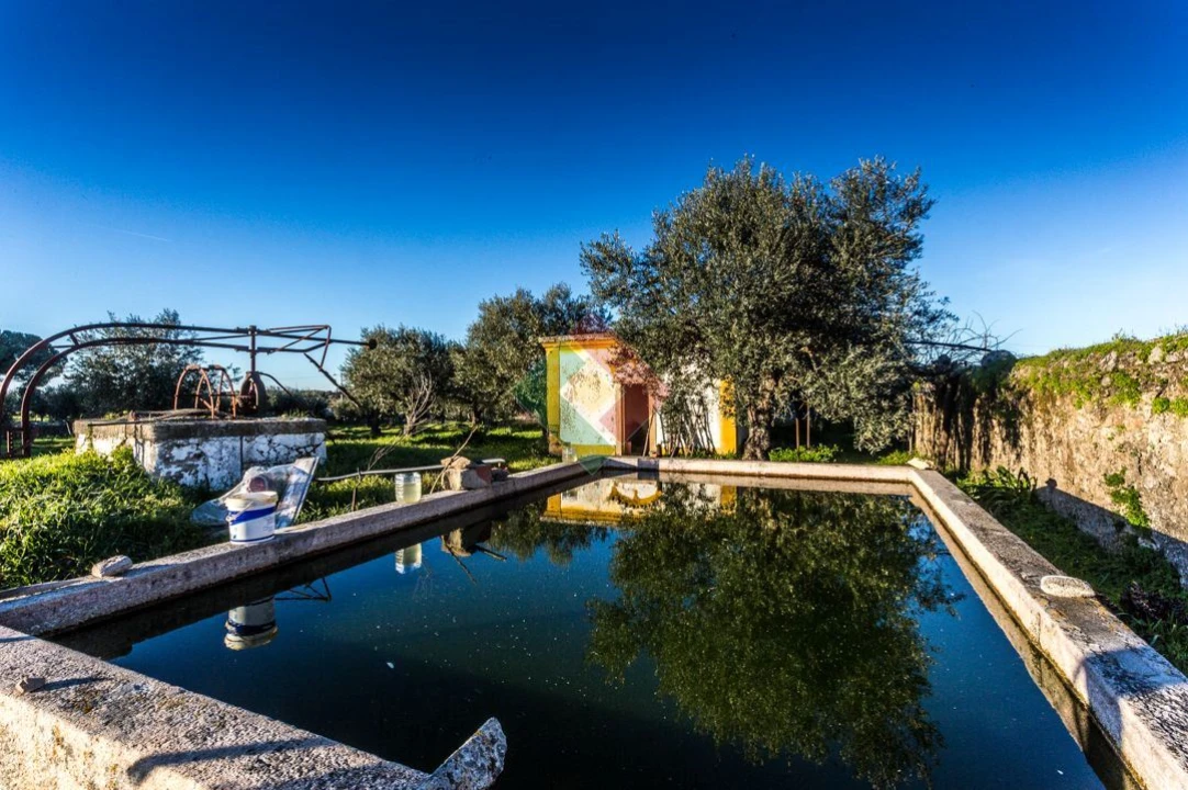 Quinta T7 para Venda em Gafete Foto 29