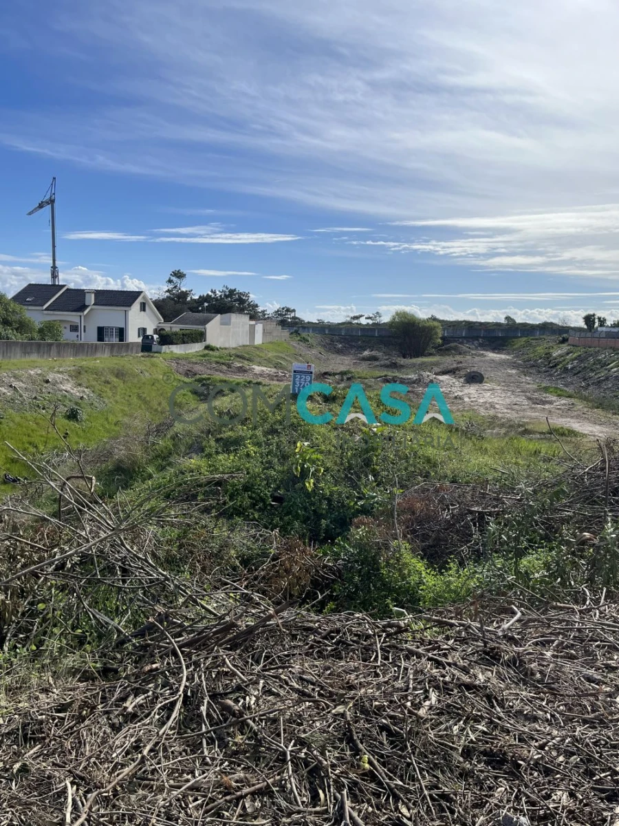 Terreno para Venda em São Jacinto Foto 13