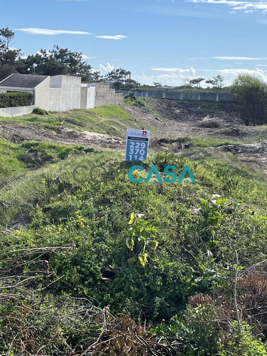 Terreno para Venda em São Jacinto Foto 11