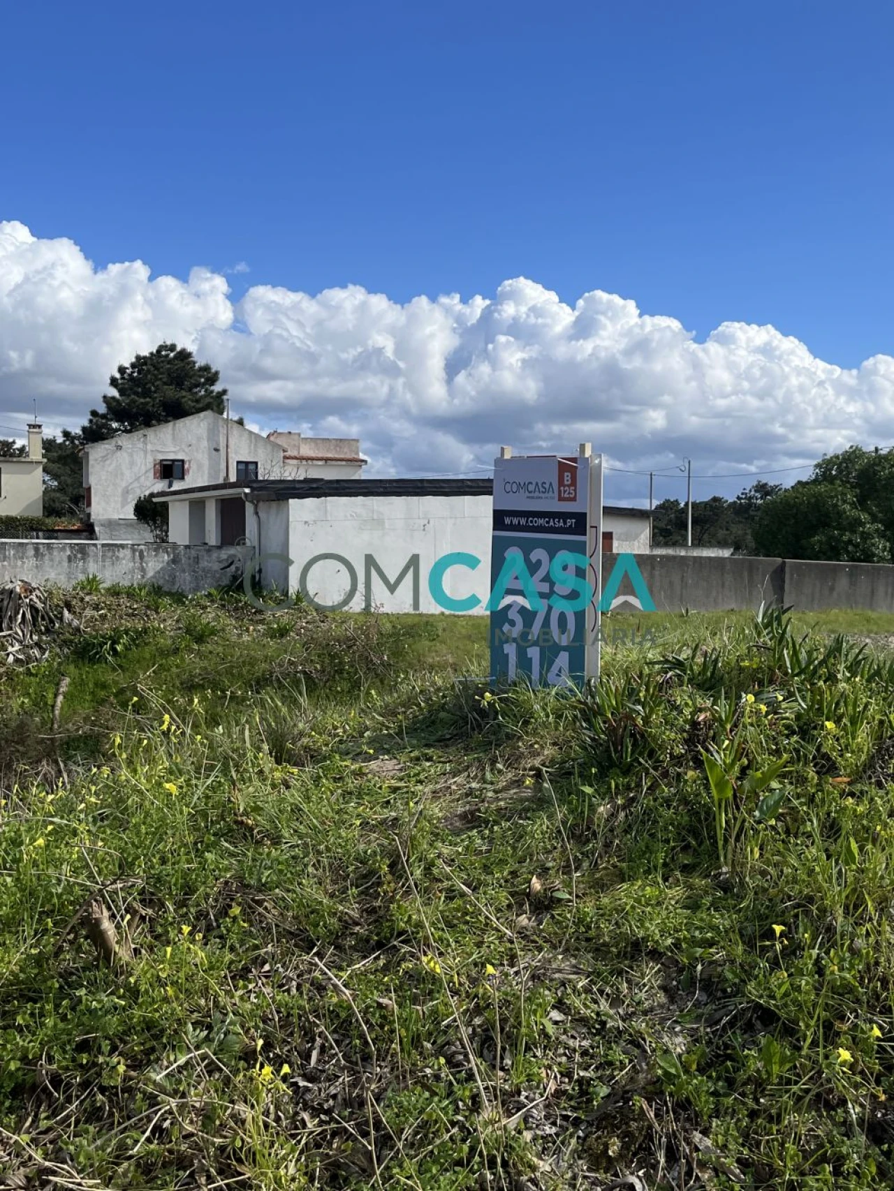 Terreno para Venda em São Jacinto Foto 12