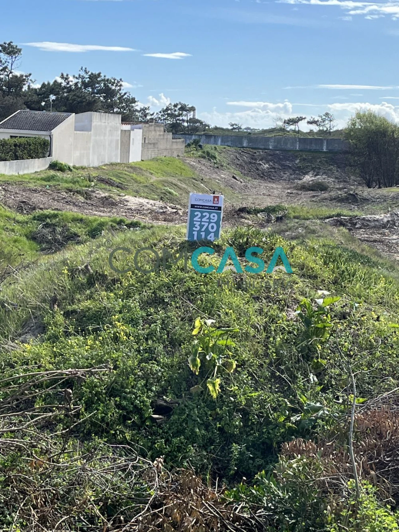 Terreno para Venda em São Jacinto Foto 11