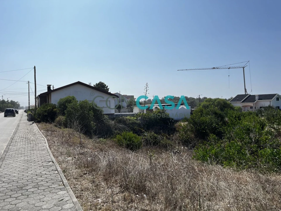 Terreno para Venda em São Jacinto Foto 3