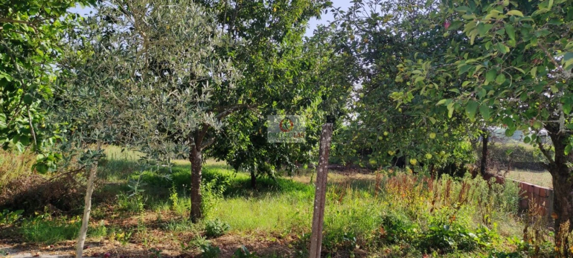 Moradia T3 para Venda em Requeixo, Nossa Senhora de Fátima e Nariz Foto 3