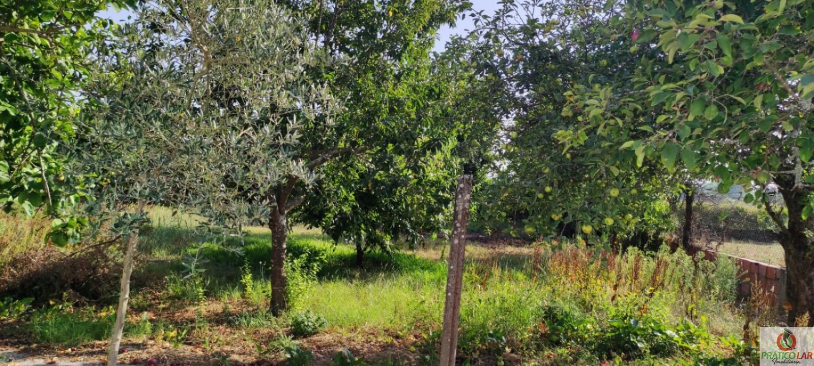 Moradia T3 para Venda em Requeixo, Nossa Senhora de Fátima e Nariz Foto 3