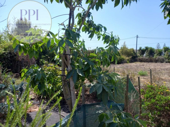 Terreno para Venda em Vila do Bispo e Raposeira Foto 10