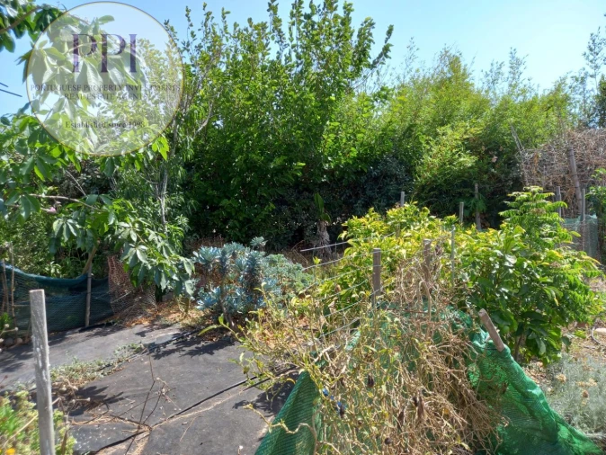 Terreno para Venda em Vila do Bispo e Raposeira Foto 15