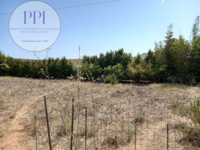 Terreno para Venda em Vila do Bispo e Raposeira Foto 21