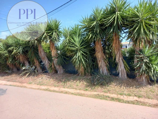 Terreno para Venda em Vila do Bispo e Raposeira Foto 6