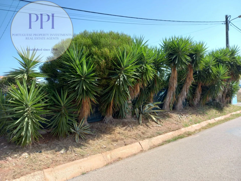 Terreno para Venda em Vila do Bispo e Raposeira Foto 5