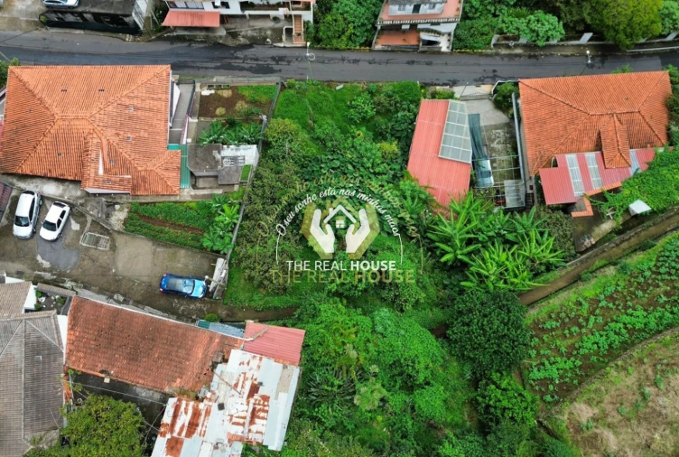 Terreno para Venda em Machico Foto 4