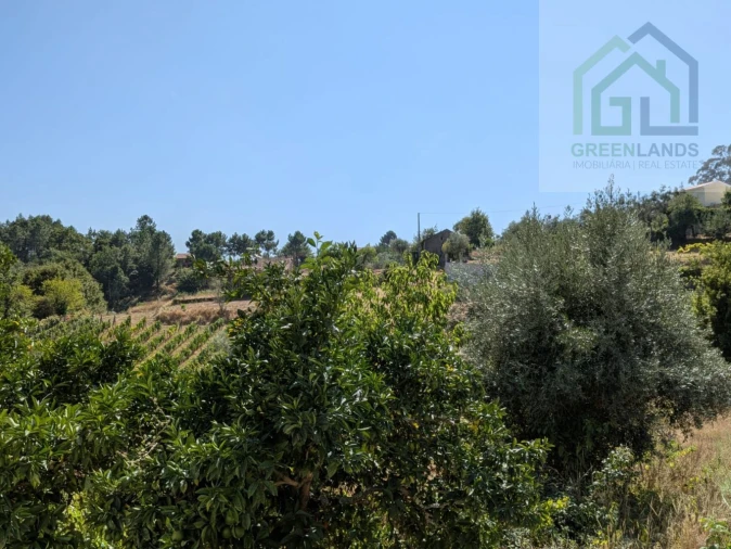 Moradia T5 para Venda em Ázere e Covelo Foto 47