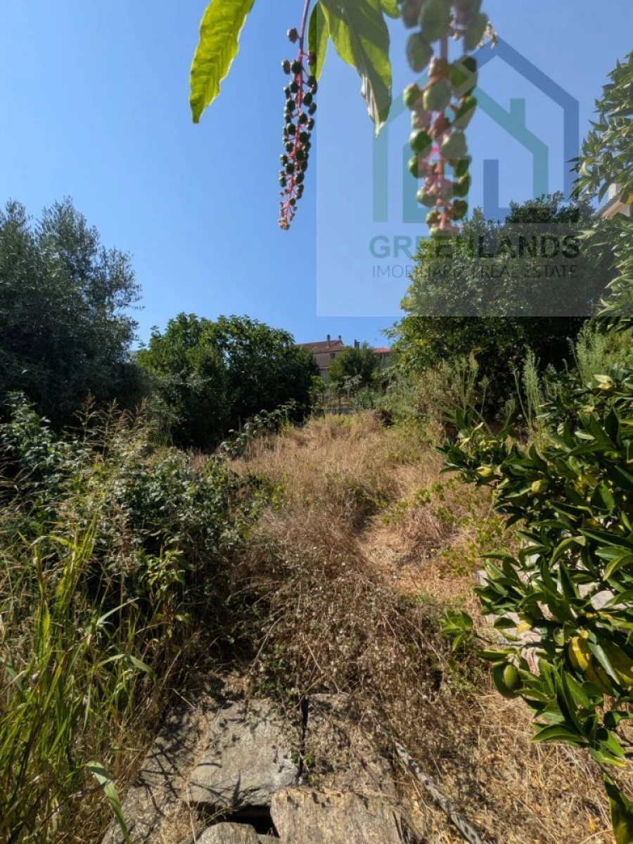 Moradia T5 para Venda em Ázere e Covelo Foto 45