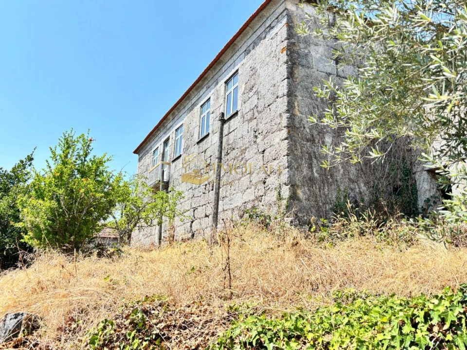 Quinta T8 para Venda em Ribeiros Foto 18