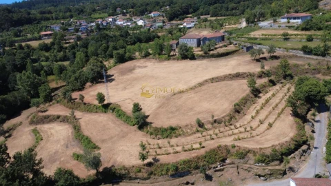 Quinta T8 para Venda em Ribeiros