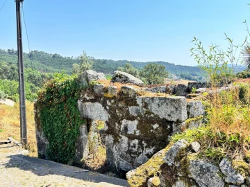 Quinta T8 para Venda em Ribeiros