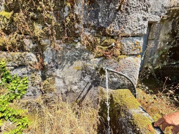 Quinta T8 para Venda em Ribeiros