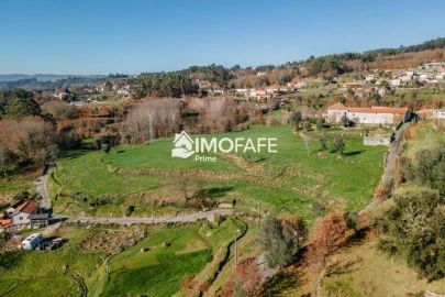 Quinta T8 para Venda em Ribeiros