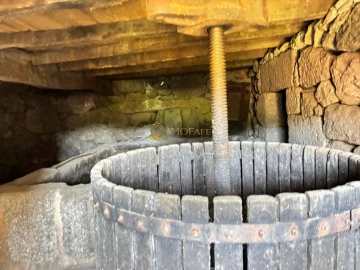 Quinta T8 para Venda em Ribeiros